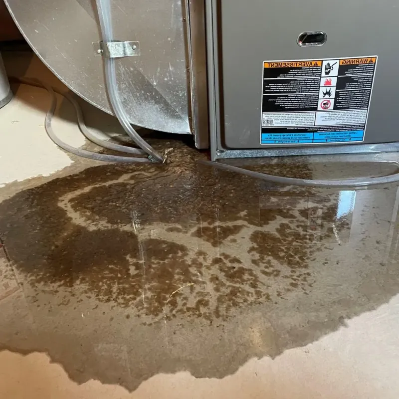 Pipe Burst and Leak Restoration in Sabattus, ME