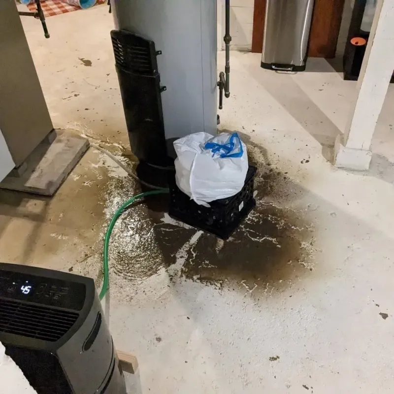 Sewage Backup Cleanup Service in Sabattus, ME